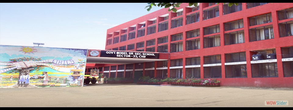 school